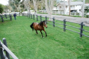 Treatment at Newport