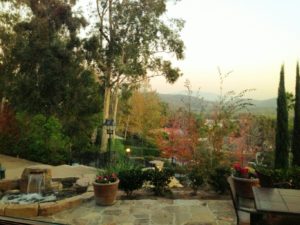 Patio View