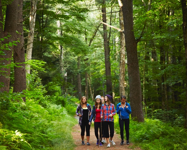 Newport Academy Programs Newport Academy