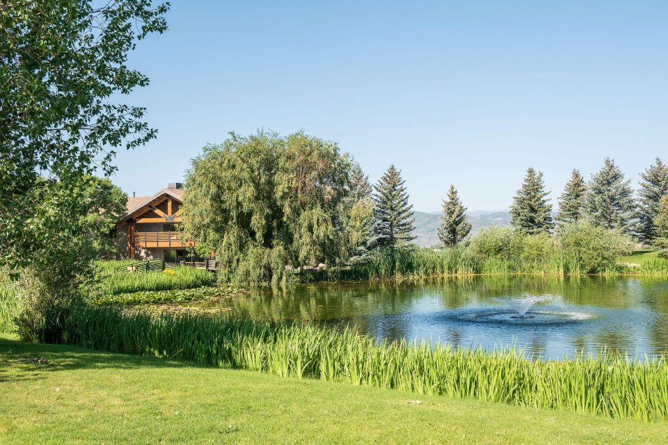 tree lined landscape in Utah