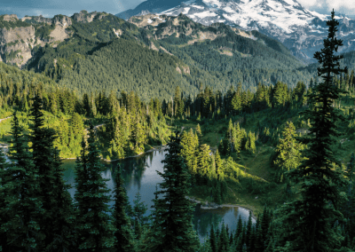 Top 10 Teen Treatment Centers in Washington State: Residential and Outpatient
