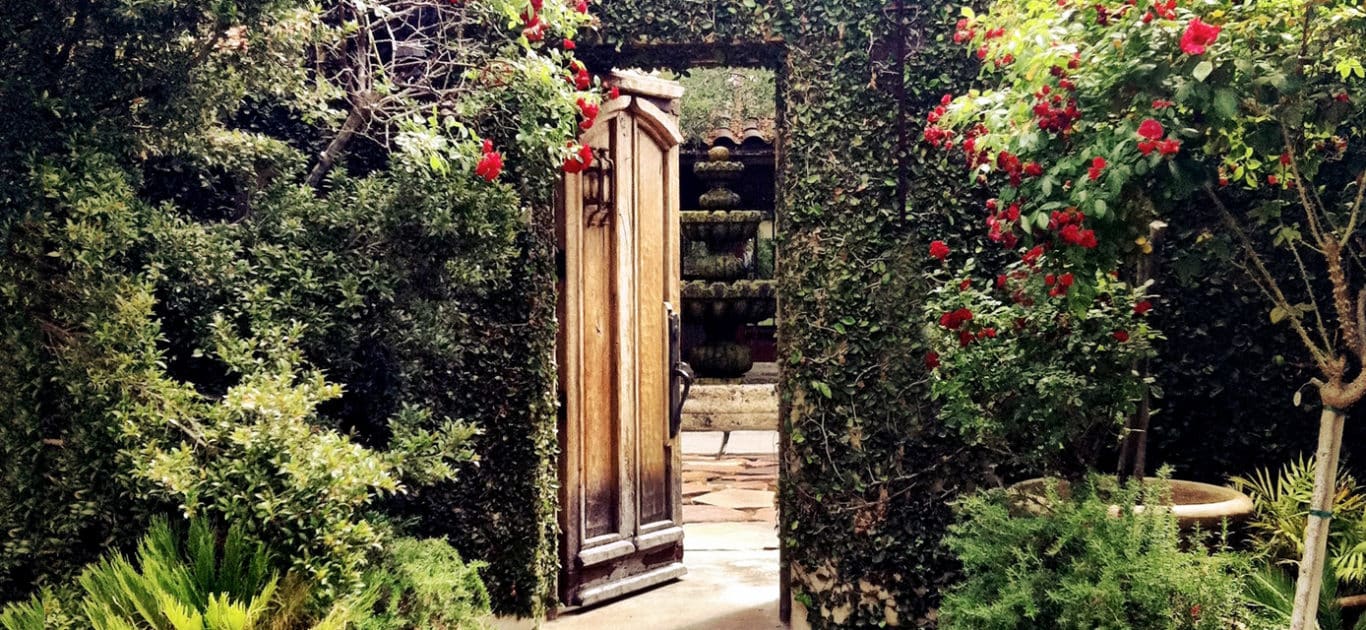 Therapy for Teens | Newport Academy's Approach to Care