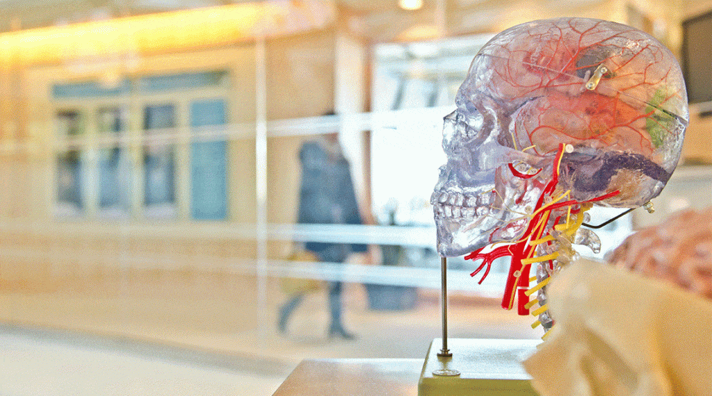 Newport Academy Resources Post Mental health mind-body connection