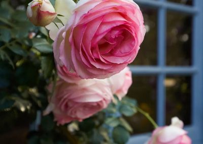 newport academy female residential gallery 12 1